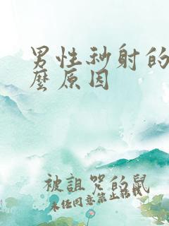 男性秒射的快什么原因