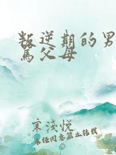 叛逆期的男孩子骂父母