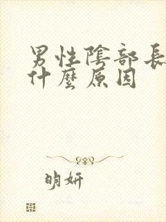 男性阴部长疙瘩什么原因