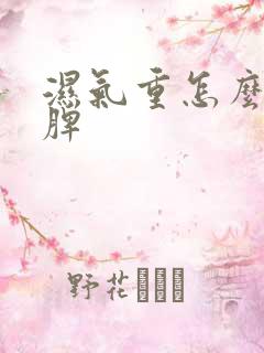 湿气重怎么调理脾