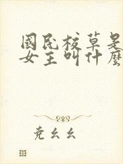 国民校草是女生女主叫什么