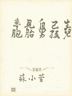 梦见自己生了双胞胎男孩儿