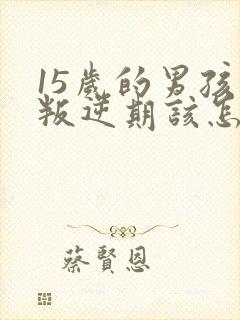 15岁的男孩子叛逆期该怎么沟通