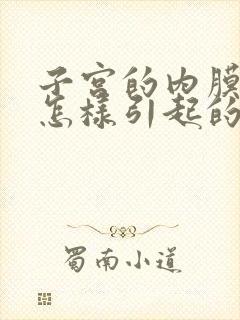 子宫的内膜厚是怎样引起的