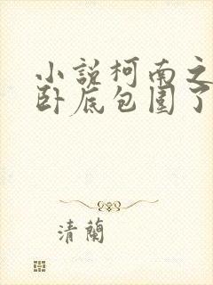 小说柯南之我被卧底包围了全文