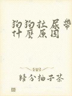 狗狗拉尿带血是什么原因