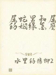 属蛇男和属马女的姻缘怎么样