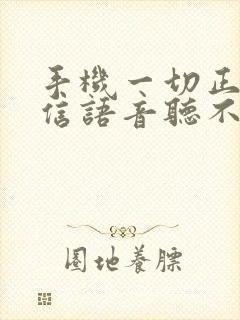 手机一切正常微信语音听不见声音