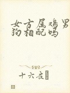 女方属鸡男方属狗相配吗