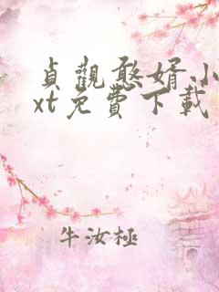 贞观憨婿小说txt免费下载