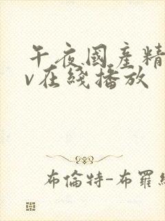 午夜国产精品av在线播放