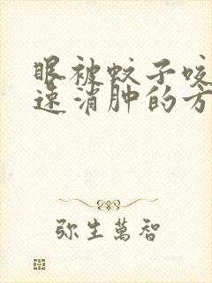 眼被蚊子咬了快速消肿的方法