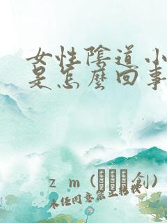 女性阴道小疙瘩是怎么回事