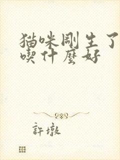 猫咪刚生了孩子吃什么好