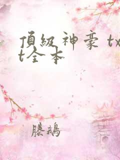 顶级神豪 txt全本