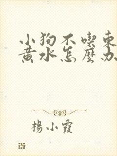 小狗不吃东西吐黄水怎么办