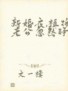 新婚夜,植物人老公忽然睁开眼大结局