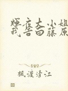 辉夜大小姐想让我告白藤原