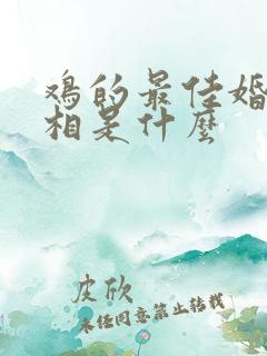 鸡的最佳婚配属相是什么