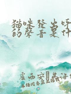 猫咪发出呼噜噜的声音是什么意思