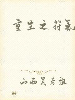 重生之符气冲天