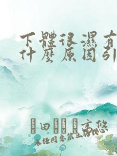 下体很湿有异味什么原因引起的