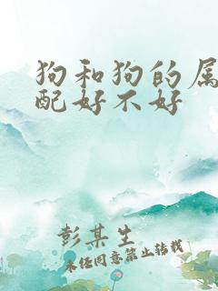 狗和狗的属相婚配好不好