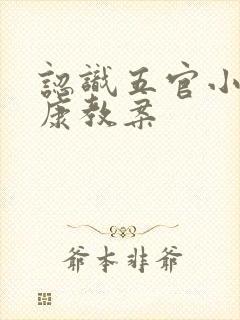 认识五官小班健康教案