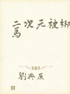 二次元被绑成驷马