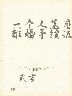 一个人怎么办理离婚手续流程