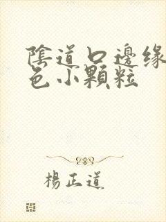 阴道口边缘有白色小颗粒