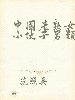 中国老熟女hd小伙子另类