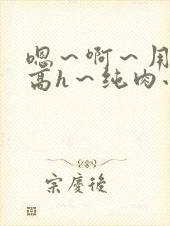 嗯～啊～用力～高h～纯肉小说