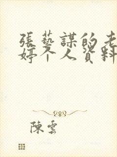 张艺谋的老婆陈婷个人资料