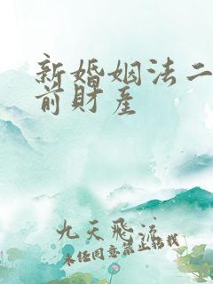 新婚姻法二婚婚前财产