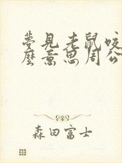 梦见老鼠咬是什么意思周公解梦