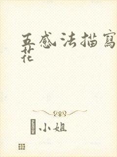 五感法描写玫瑰花