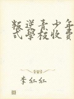 叛逆青少年封闭式学校收费