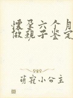 怀孕六个月怎么做亲子鉴定吗