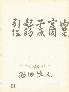 引起子宫内膜异位的原因是什么