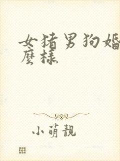 女猪男狗婚姻怎么样