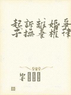 起诉离婚争取孩子抚养权律师费