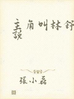 主角叫林舒的小说