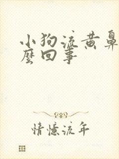 小狗流黄鼻涕怎么回事