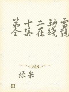 第十二秒电视剧全集在线观看免费