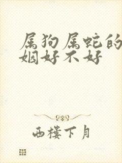 属狗属蛇的人婚姻好不好