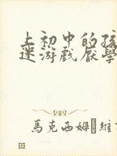 上初中的孩子沉迷游戏厌学怎么办