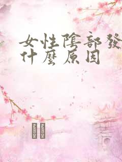 女性阴部发痒是什么原因