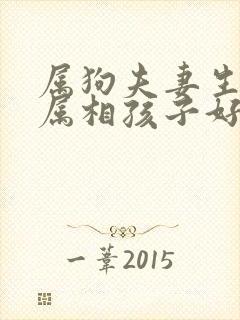 属狗夫妻生什么属相孩子好