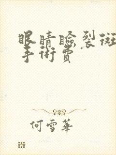 眼睛睑裂斑激光手术费